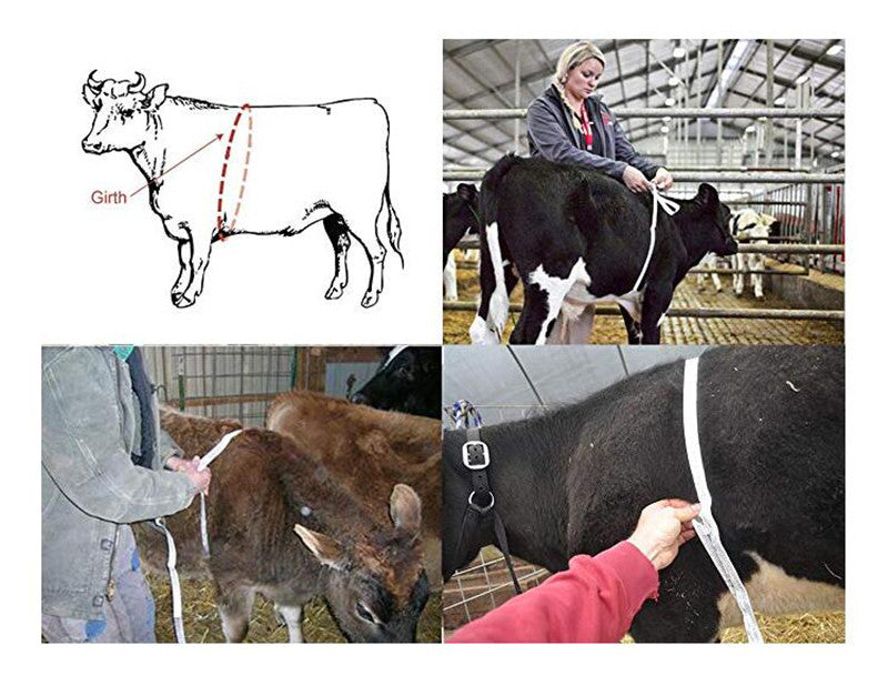 WINTAPE 2.5M Body Tape Measure For Pig Cows Weight Height Measuring Professional Farm Kilogram Centimeter Measure Ruler