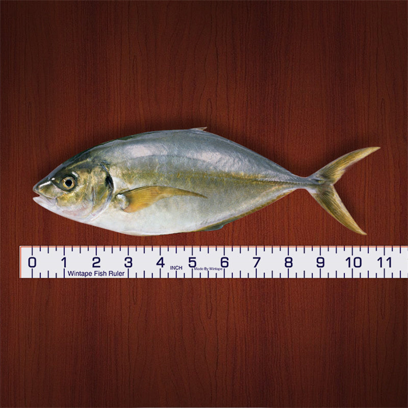 WINTAPE Fish Height Tape Measure Sticker Outdoor Measurement Tools