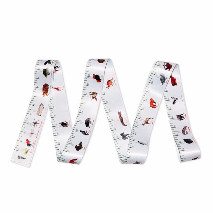 Wintape Fully Customized Animal World Tape Measure Printed Ribbon